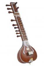 Instrumentos musicales de la india